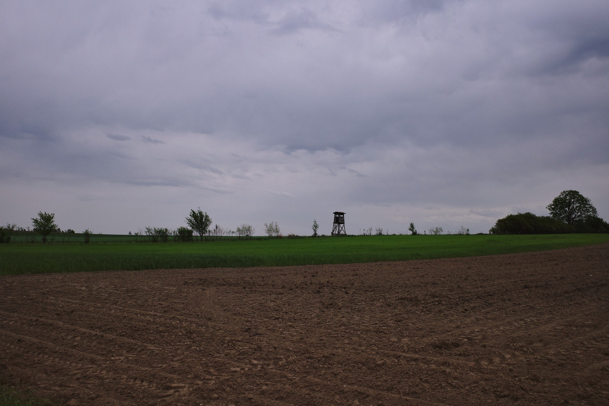 Hunting tower on plowed field under overcast sky